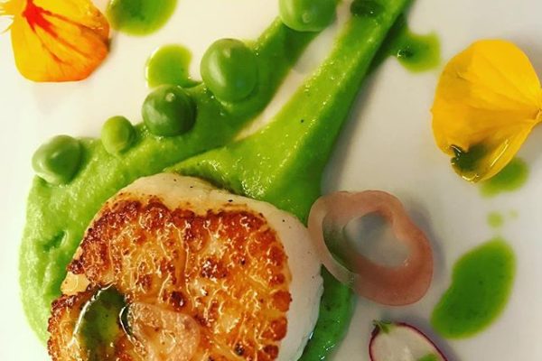 menus-scallop